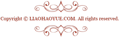 liaohaoyue.com